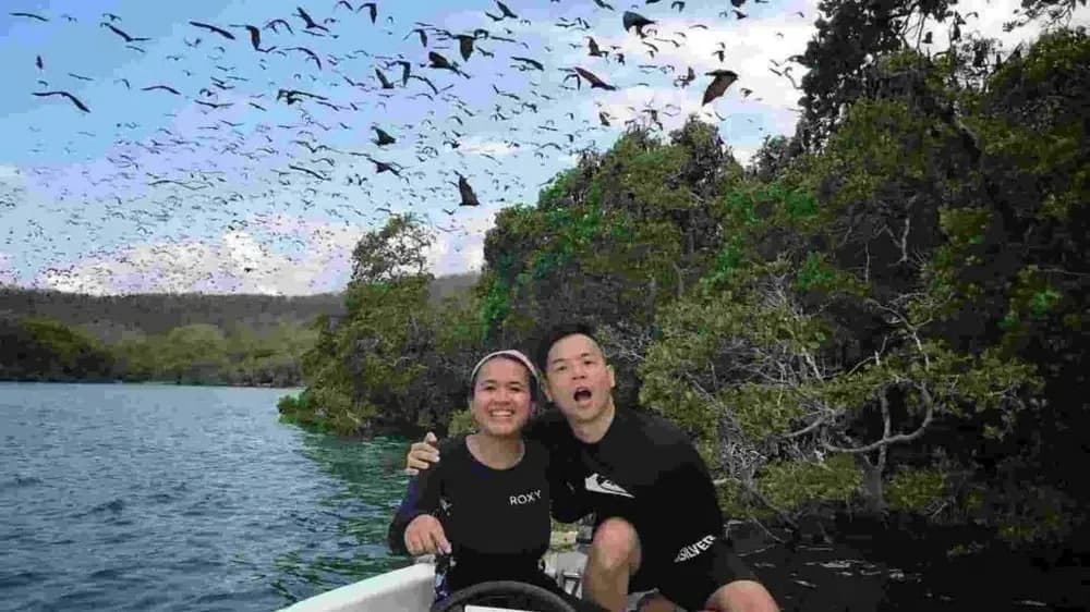 Kalong Island - Komodo National Park destination