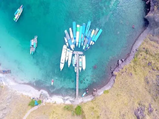 จุดดำน้ำที่ดีที่สุดในหมู่เกาะ Komodo: คู่มือ Liveaboard ฉบับสมบูรณ์ 2026