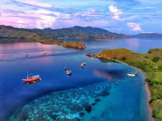 Open Trip vs Private Charter Komodo: Which is Right for You?