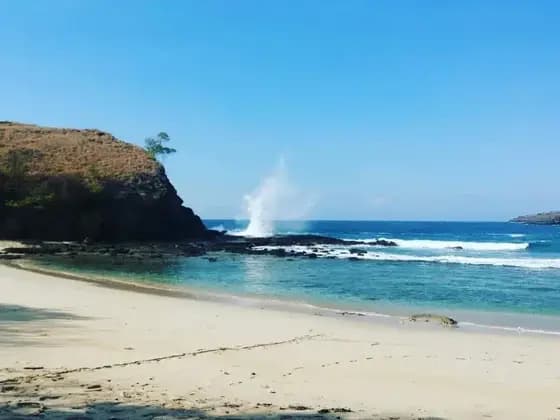 Komodo Tour Price Guide 2026: Budget to Luxury