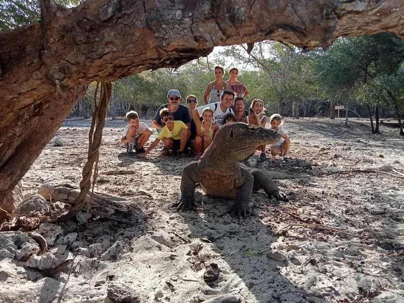 Komodo vs Raja Ampat: Which Should You Choose?