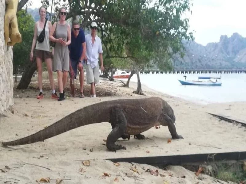 ปีนเขาพัดдар์ชมพระอาทิตย์ขึ้น: วิวสุดตระการตาที่สุดในเกาะโกรโมดอร์