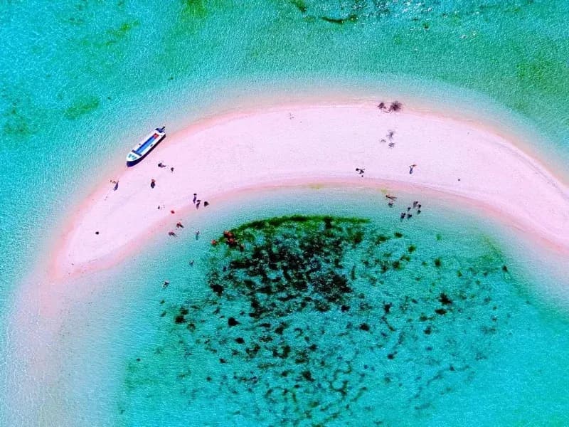 พิงค์บีช โคโมโด: คู่มือการท่องเที่ยวชายหาดสีชมพูที่สวยที่สุดในโลก