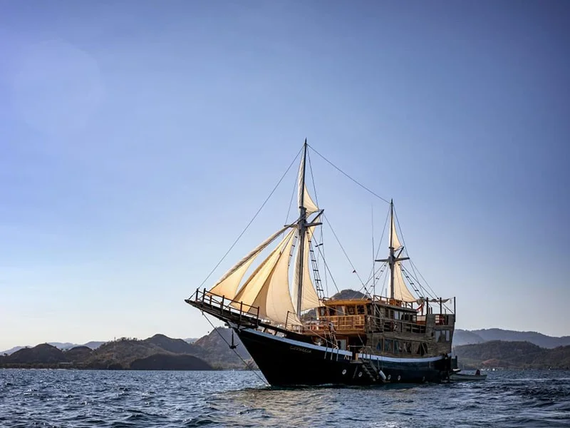 Cordelia Phinisi - Luxury Phinisi Komodo Charter 2026