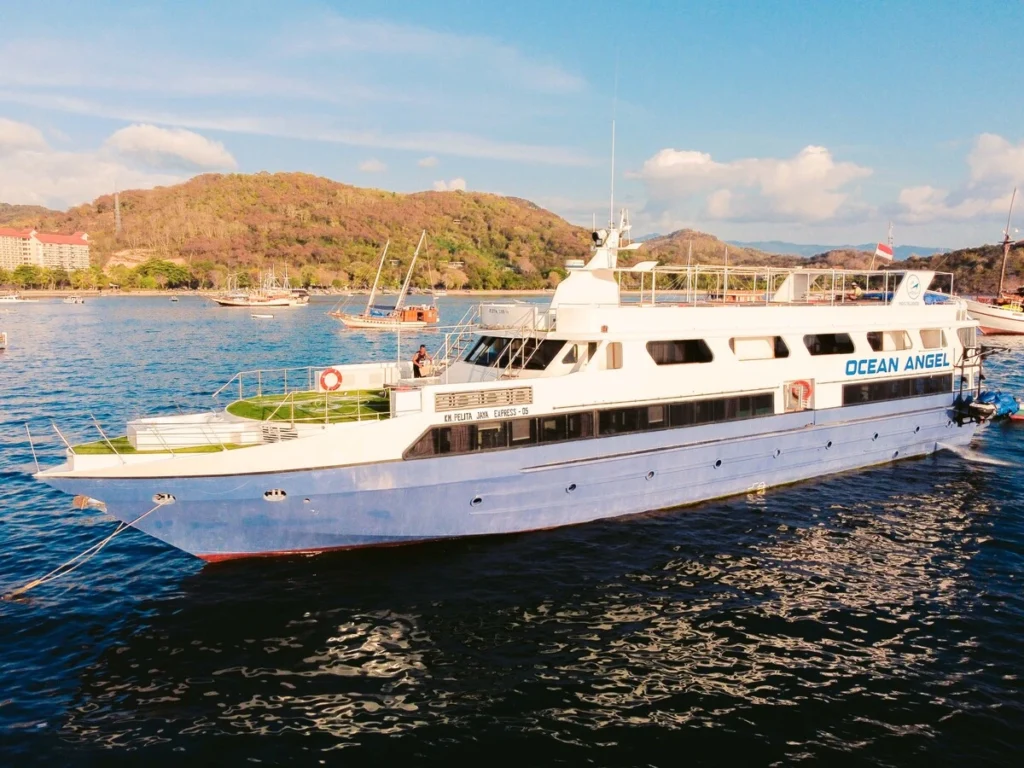 Ocean Angel Liveaboard - Luxury Phinisi Komodo Charter 2026