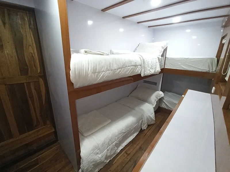 Riley Shared Twin - Image 1